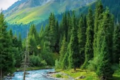 曼联到底哪出问题了？离开曼联后，小麦首次入选金球奖